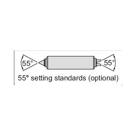 Insize 60° Setting Standard, 1" 3281-SPE61